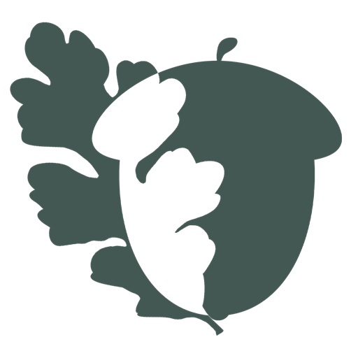 acorn-adaptive-website.pages.dev favicon